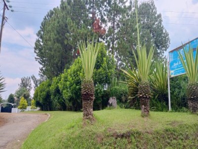 Sheevys Bed & Breakfast -Fortportal 