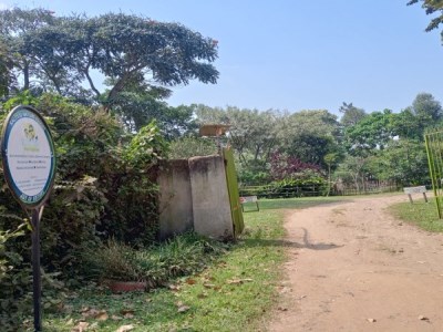 Kalitusi Nature Resort-Kahunga Bunyonyi 