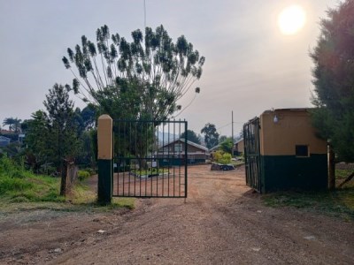Green Circle School -Boma