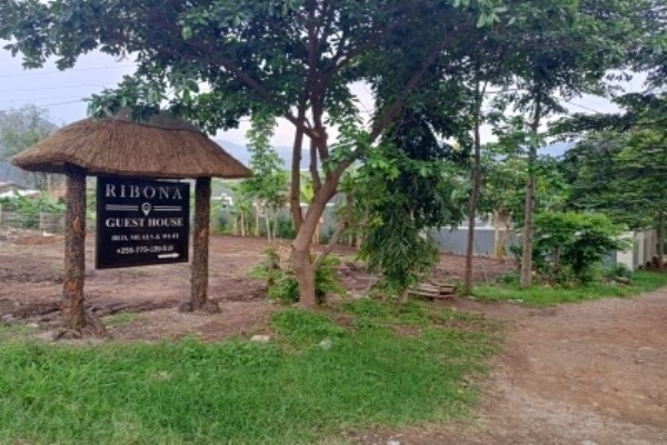 Ribona Guesthouse -Kasese