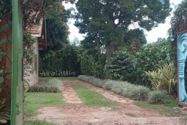 Gorilla Conservation Café Entebbe.
