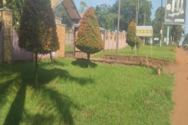 Impala Suites Jinja
