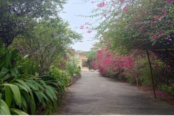 Hotel Margherita Limited-Kasese 